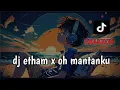 Download Lagu DJ ETHAM X OH MANTANKU