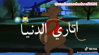 مصاحبش الفرافير حتى لو راكبين في لاري يوم دندنها