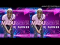 Download Lagu DJ FarmerSA - Madumane
