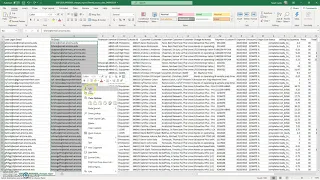 Removing Duplicates in Excel Data