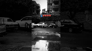 انتي الونس سلفيني عنيكي لحظه شوفي نفسك من مكاني    ليل المحمدي دندنها