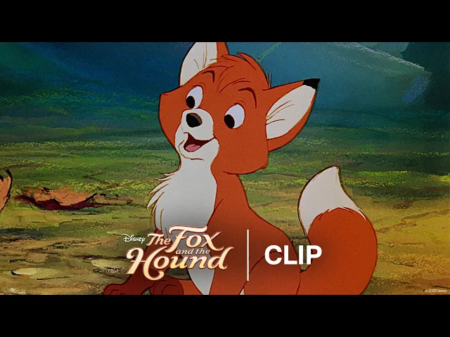 background images