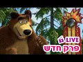 מאשה והדוב 👱‍♀️🐻 פרק חדש 💪💥 המכה האדירה 💪🐒 ילדים קריקטורות 🔴 LIVE ⭐️