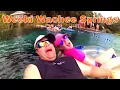 Weeki Wachee Springs - A Must Do in Florida