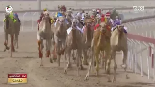 الشوط 4 الماهر لـ حمد محمد سعيد ناصر الدرعي 5 55 0 مهرجان ختامي الوثبة 2022 5 3 حقايق 