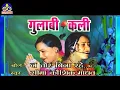Lagu Gulabi Kali                                 न तोर बिन रहे सकव गा/ गुलाबी कली/ छत्तिसगढ़ी गाना