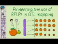 Understanding Quantitative Trait Loci with the Help of Tomatoes