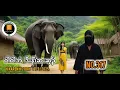 Download Lagu No.317 🛑 ဝါဝါဘဲ ဒီးနီၢ်ဆးဆ့ၣ် Hi Karen History (18/9/2025)