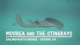 Moorea and the Stingrays – Sailing the Pacific Episode 24