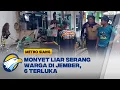 Download Lagu Teror Monyet Ekor Panjang di Jember, 6 Luka [Metro Siang]