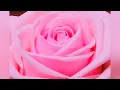 Natalie Cole - This Will Be (An Everlasting Love) ( 852 Hz )