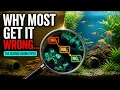 Why Most Aquarium Hobbyists Get The Nitrogen Cycle Wrong The Science Behind EP12