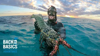 Day 8: DELICIOUS LOBSTER! And We Find Dogtooth Tuna ! (Ep 5)