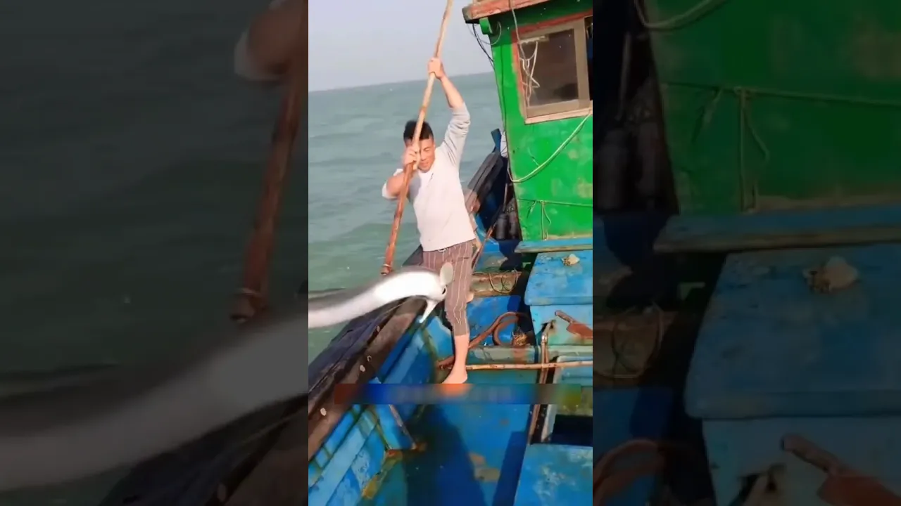 New Fishing technique