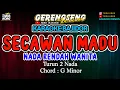 Download Lagu SECAWAN MADU KARAOKE - Ade Astrid | BAJIDOR