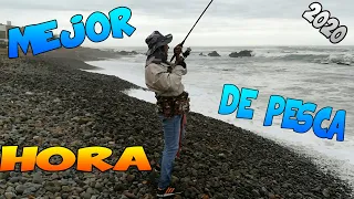 the best time for fishing for corvina and sole 2020