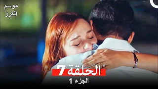 موسم الكرز الحلقة 7 الجزء 1 مدبلج بالعربية 