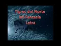 Tigres del Norte Mi Fantasia Letra