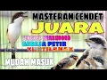 Download Lagu MASTERAN CENDET JUARA FULL TEMBAKAN TENGKEK BUTO WERKUDORO GEREJA PETIR KUNTI PALING MUDAH MASUK