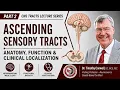 Ascending Sensory Tracts Anatomy Function Clinical Localization
