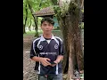 Download Lagu Awasss bahaya bunga Trompett untuk kesehatan badann!!!