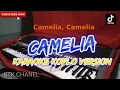 Lagu CAMELIA VERSI TASYA ROSMALA KARAOKE DANGDUT KOPLO STK CHANEL