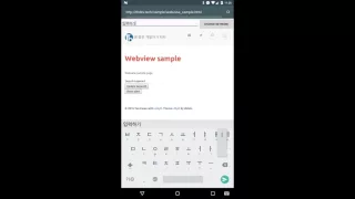Android Developer Android Webview javascript interface sample