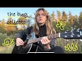 the bug collector - haley heynderickx cover by tvgirlmillz