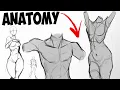How I Draw Basic Anatomy