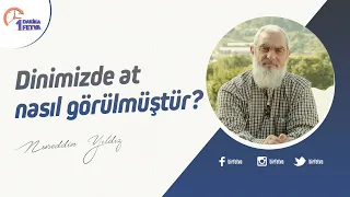 Dinimizde at nasıl görülmüştür?