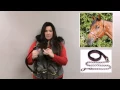 Big Dee s Tack and Vet Supply - Padded Leather Halter