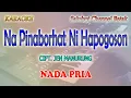 Download Lagu NA PINABORHAT NI HAPOGOSON ll KARAOKE LAGU BATAK ll JEN MANURUNG ll NADA PRIA E=DO
