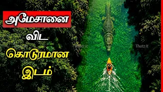 அமேசானை விட பயங்கரமான ஒரு இடம்! 720 அடி ஆழத்தில் என்ன இருக்கு? | The Congo River Mystery | Thatz It
