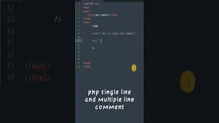 php comments