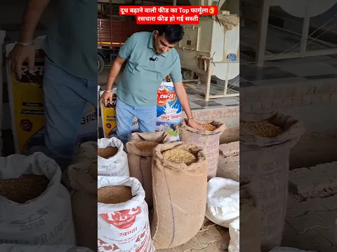 दूध बढ़ाने वाली फीड का Top फार्मूला👌 रसधारा फीड हो गई सस्ती💲 रामकेश लोहान 📞9050043800  #dairyfarm