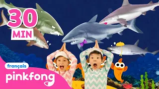 💃Danse avec Baby Shark | +Comptines | #Shark Month | Education | Bébé Requin ! Chansons pour Enfants