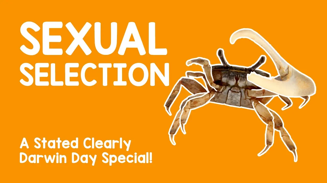 Darwin Day Special! What is Sexual Selection?