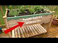 RAISED GARDEN BED FROM AMAZON - ARE THEY WORTH IT