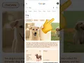 secret google easter egg part 3