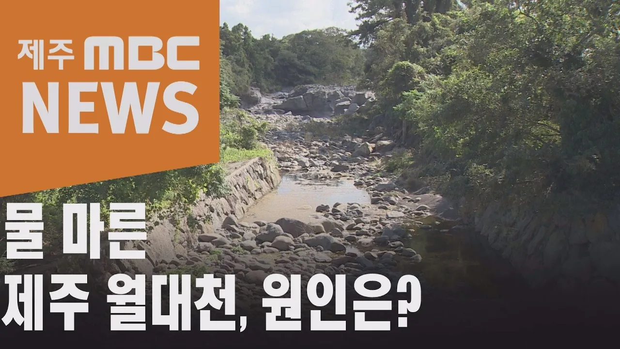 관련 영상 썸네일