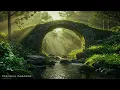 Download Lagu Calming Music for Healing the Heart🌿 Sounds for Stress Relief and Deep Sleep Healing