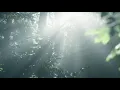 Alex Baker - "Bloom" (Official Audio)