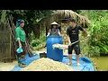 Pao makes his own pig feed to save costs is it effective