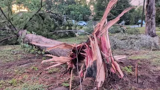 Storm in Ocala damages neighborhoods leaves thousands without power