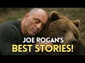 10 of the Greatest Stories Ever Told on Joe Rogan
