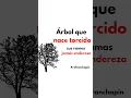 Download Lagu #refran #refranes #dichos #dichospopulares #chapín #viralvideo #viralshorts #arbol #moraleja