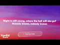 Zara Larsson - Can't Tame Her (Lyrics)