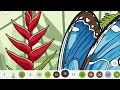 Butterfly color page on app relax color along