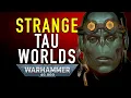 Download Lagu Tau Empire Sept Worlds EXPLAINED Why the Imperium Fears the Tau in Warhammer 40K
