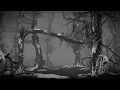 Of Monsters and Men - Six Weeks (Official Lyric Video)